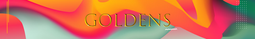 Main banner logo